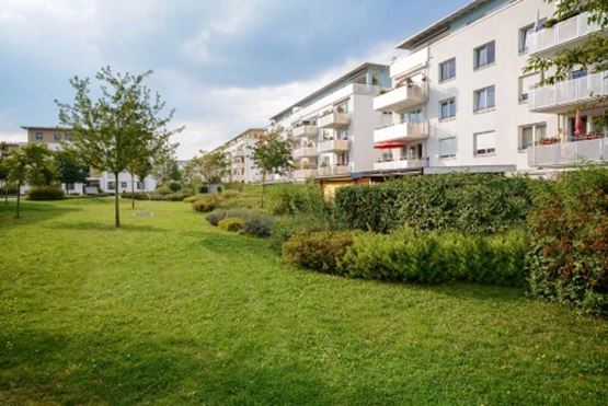 Garden with low rise flats in the background