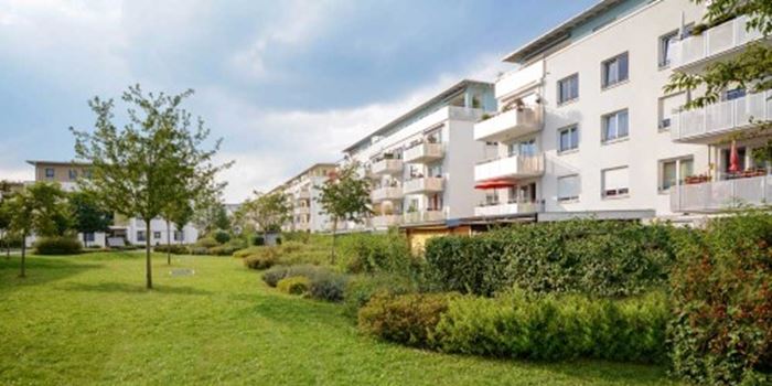 Garden with low rise flats in the background