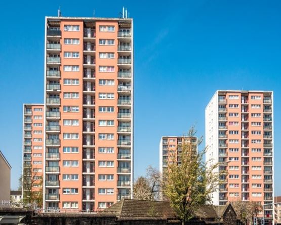 four pink high rise buildings against blue sky